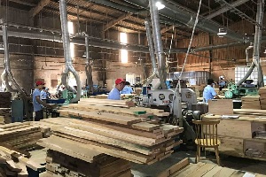 Wooden Folding Chairs Manufacturer In Vietnam